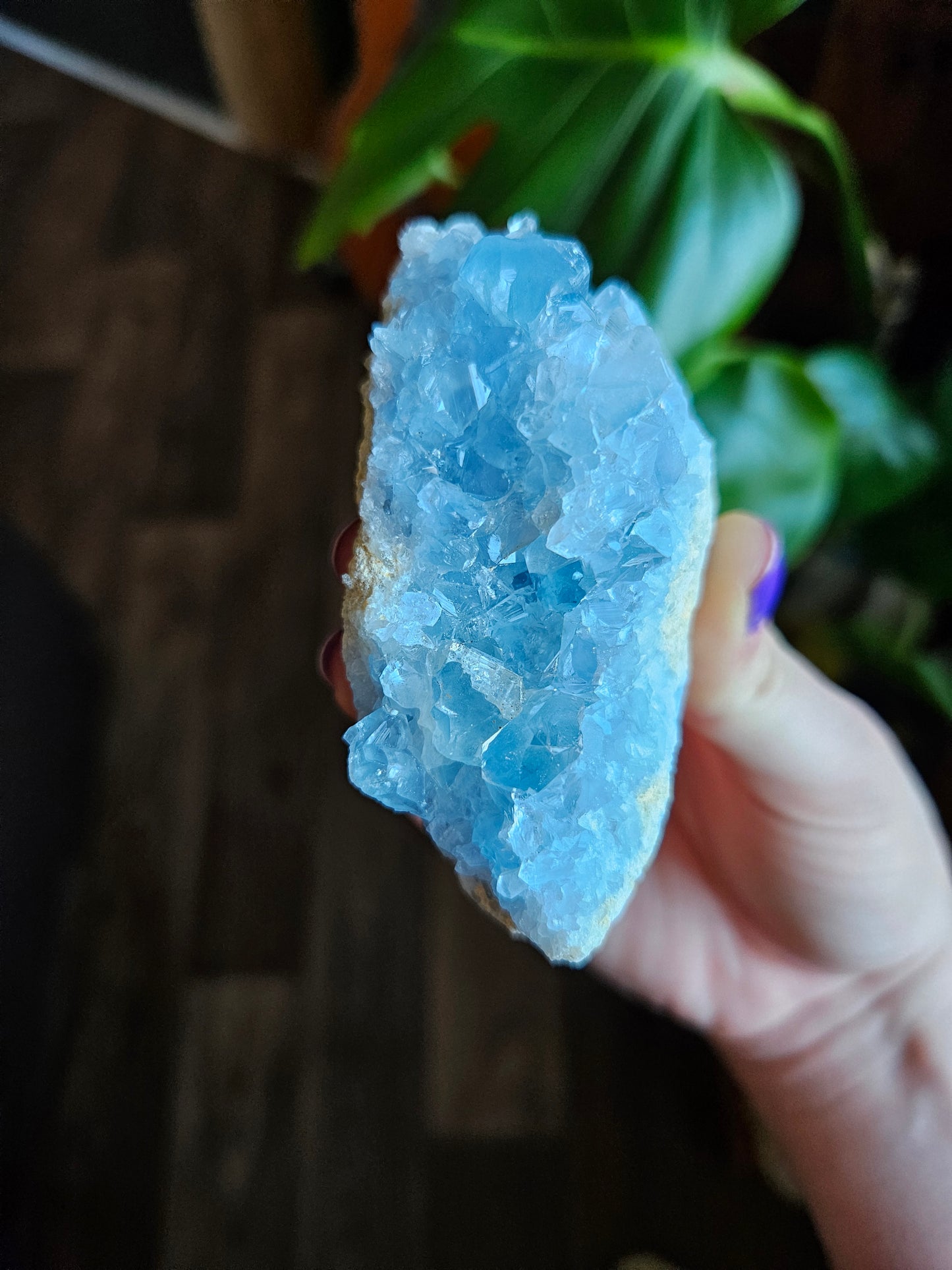 Blue Celestite geode // discount for damage