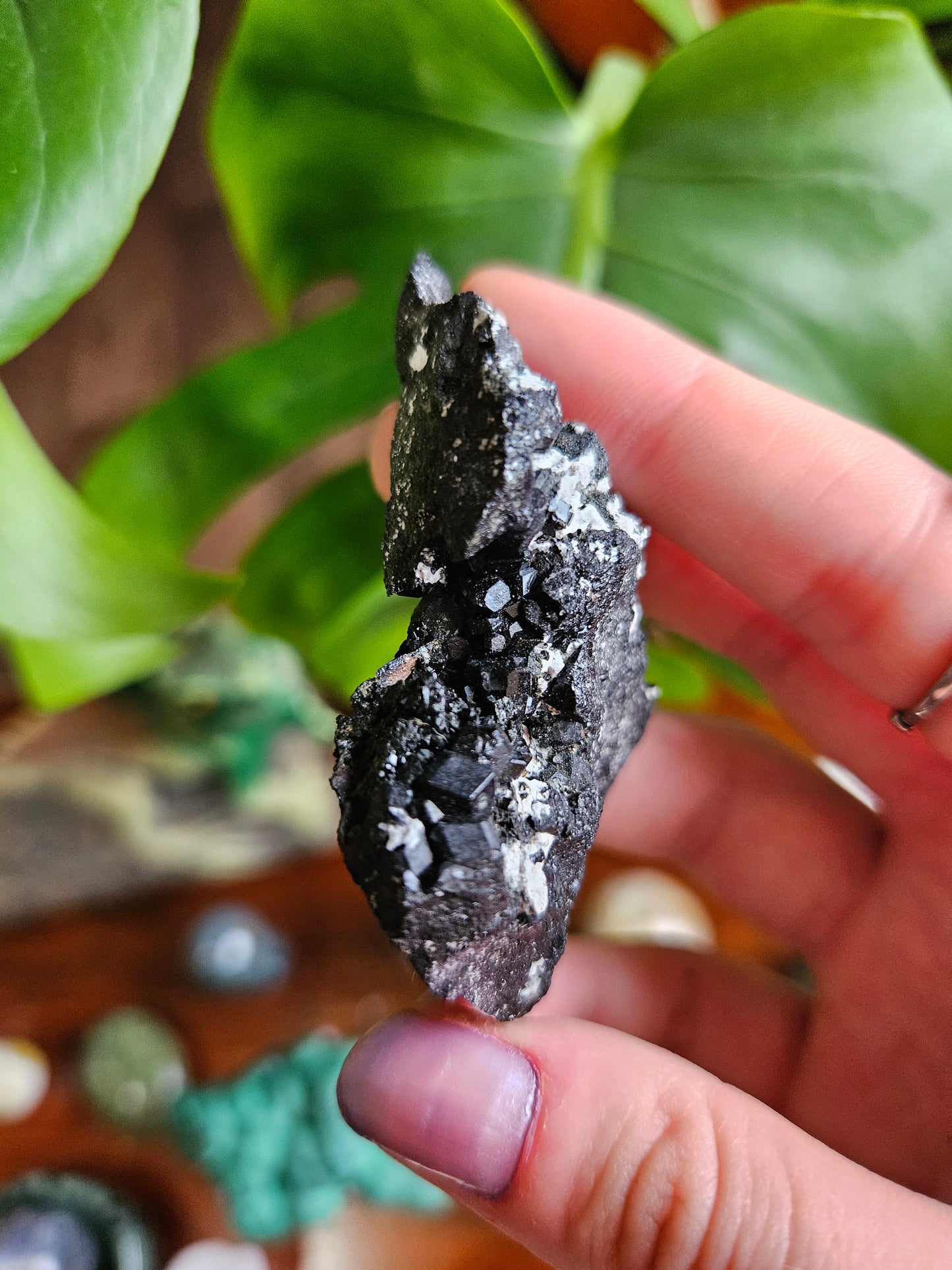 Melanite Black Garnet specimen