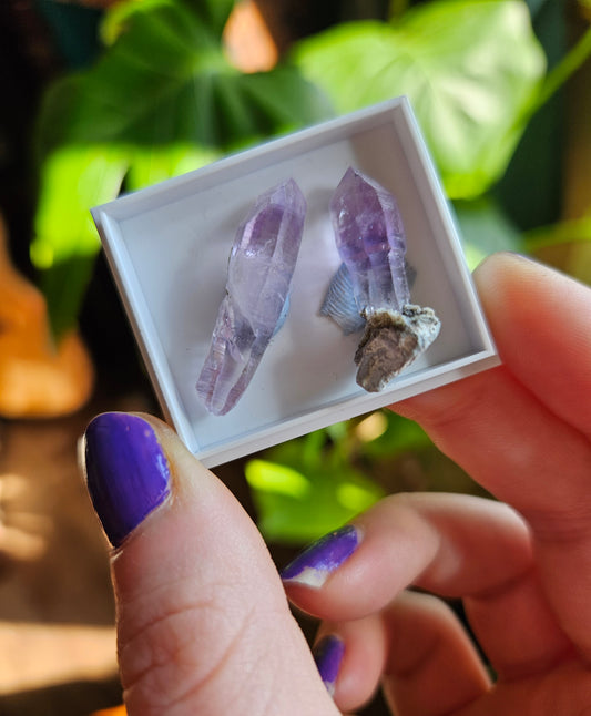Vera Cruz Amethyst twin points