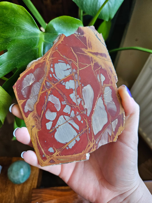 Noreena Jasper slice