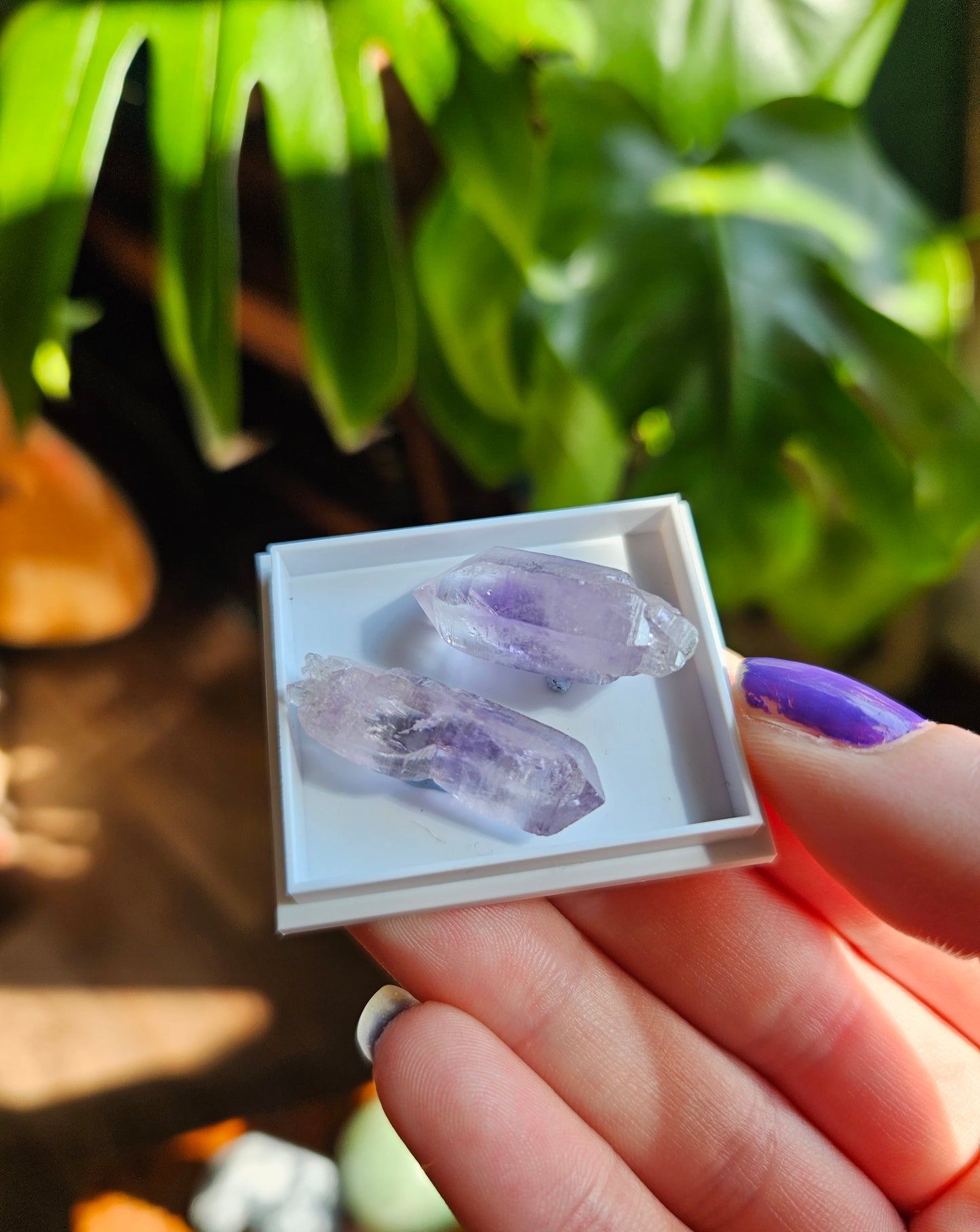Vera Cruz Amethyst twin points