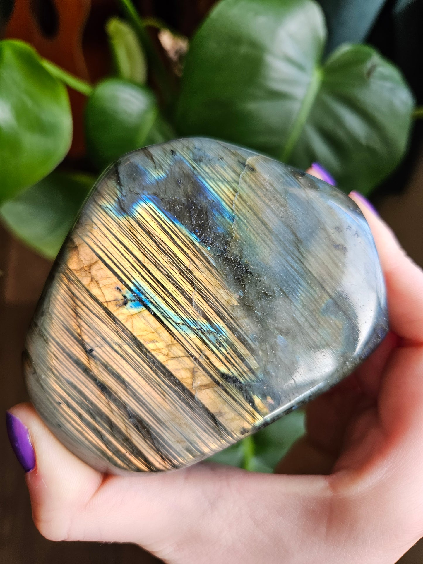 Labradorite freeform - 552g