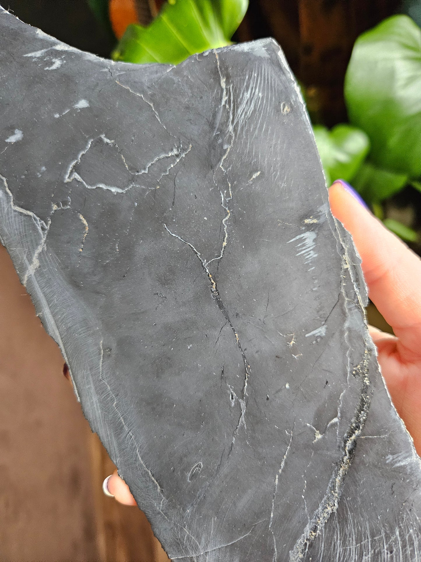 XL Shungite slice with Pyrite