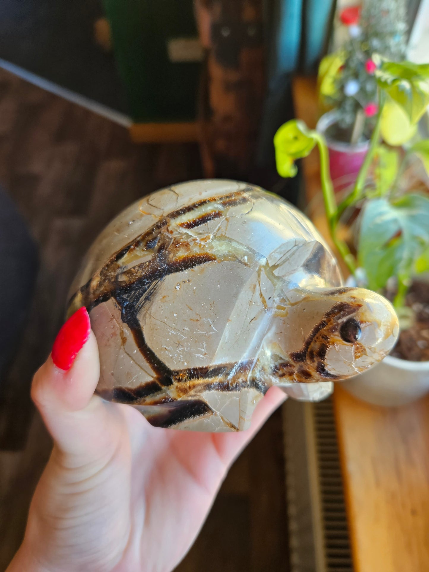 Amazing Septarian turtle carving - 1.1kg