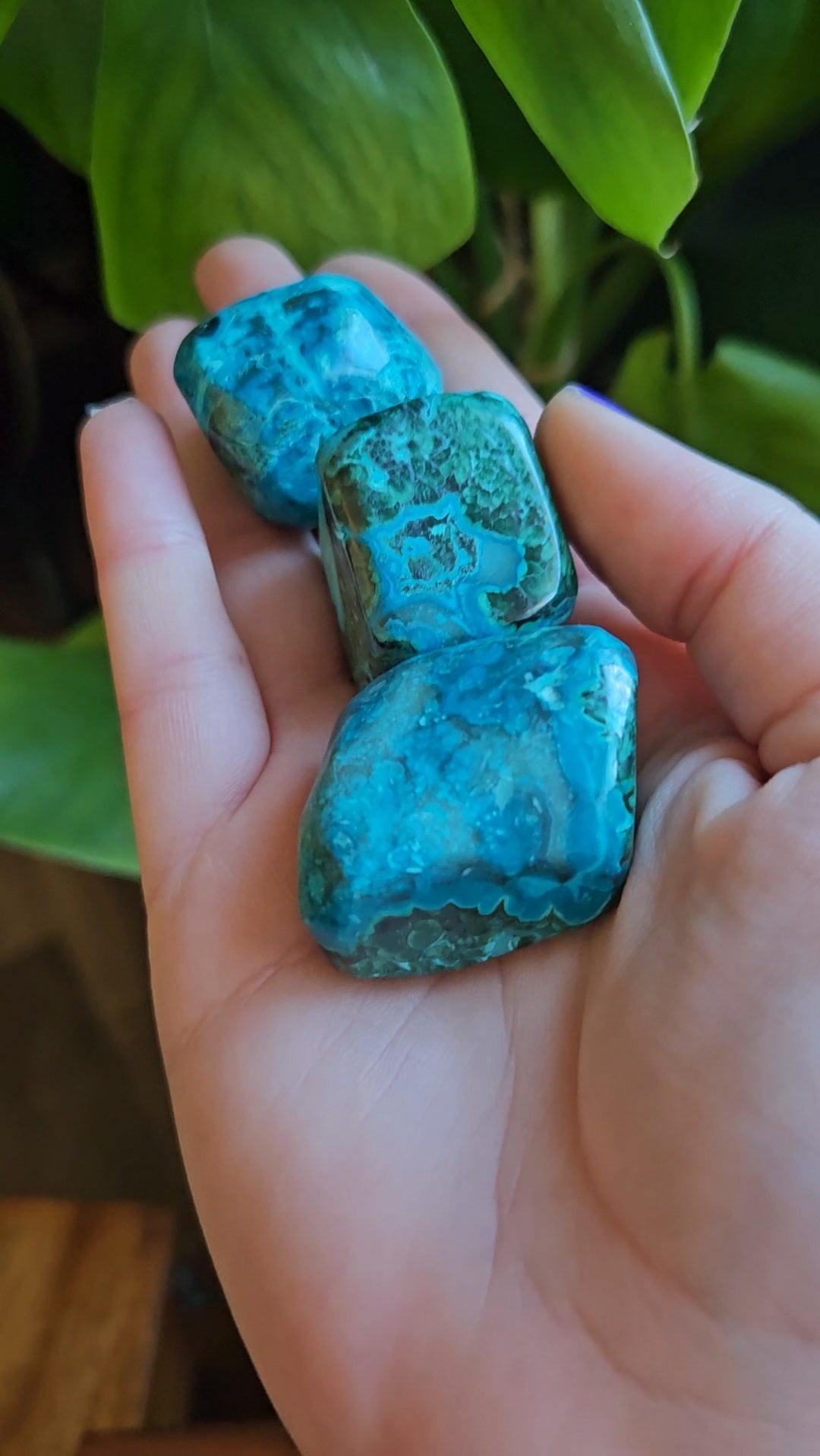 Chrysocolla Azurite tumblestones