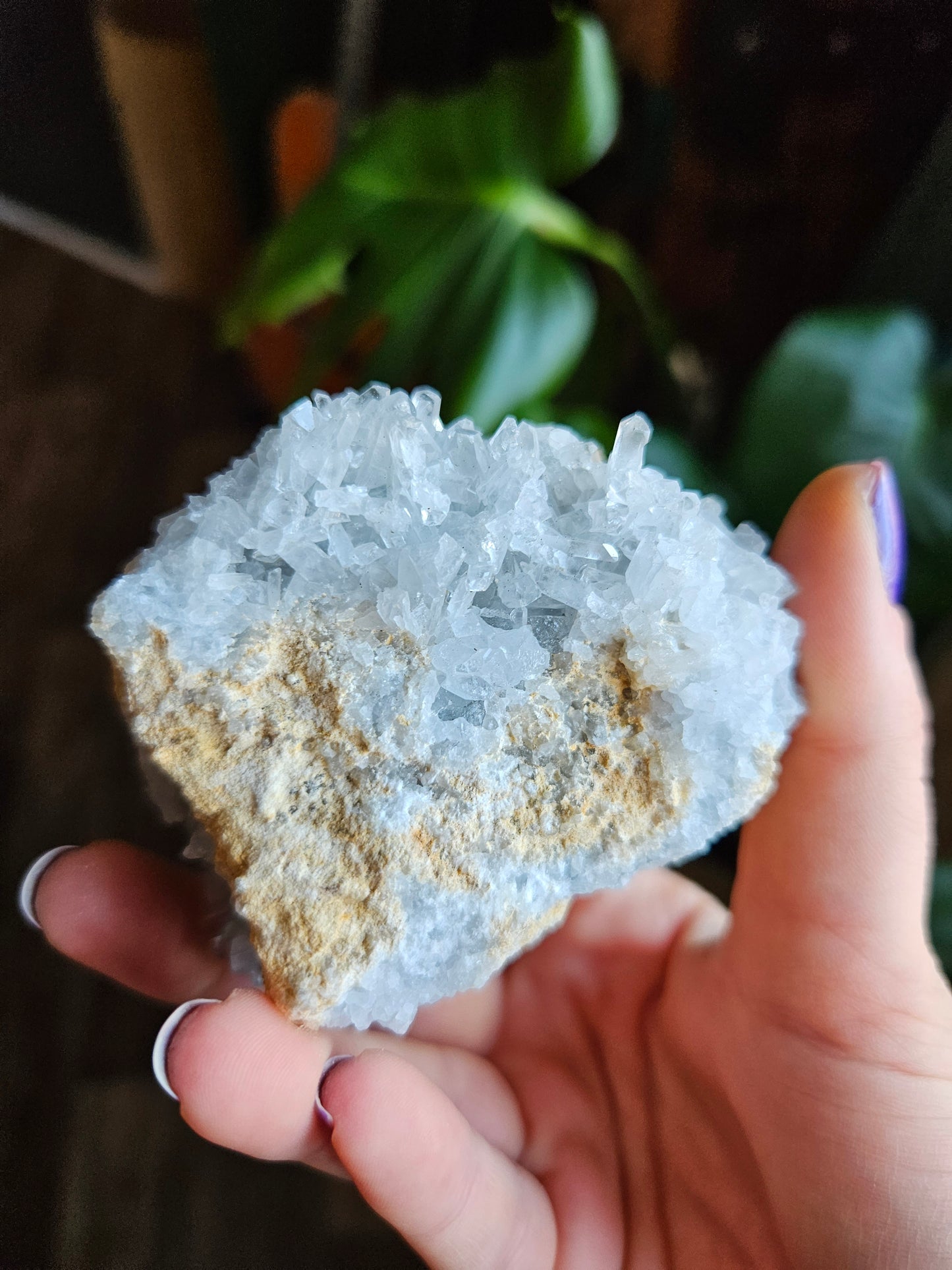 Blue Celestite geode