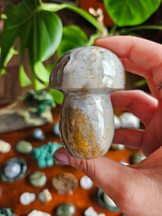 Ocean Jasper mushroom - 210g