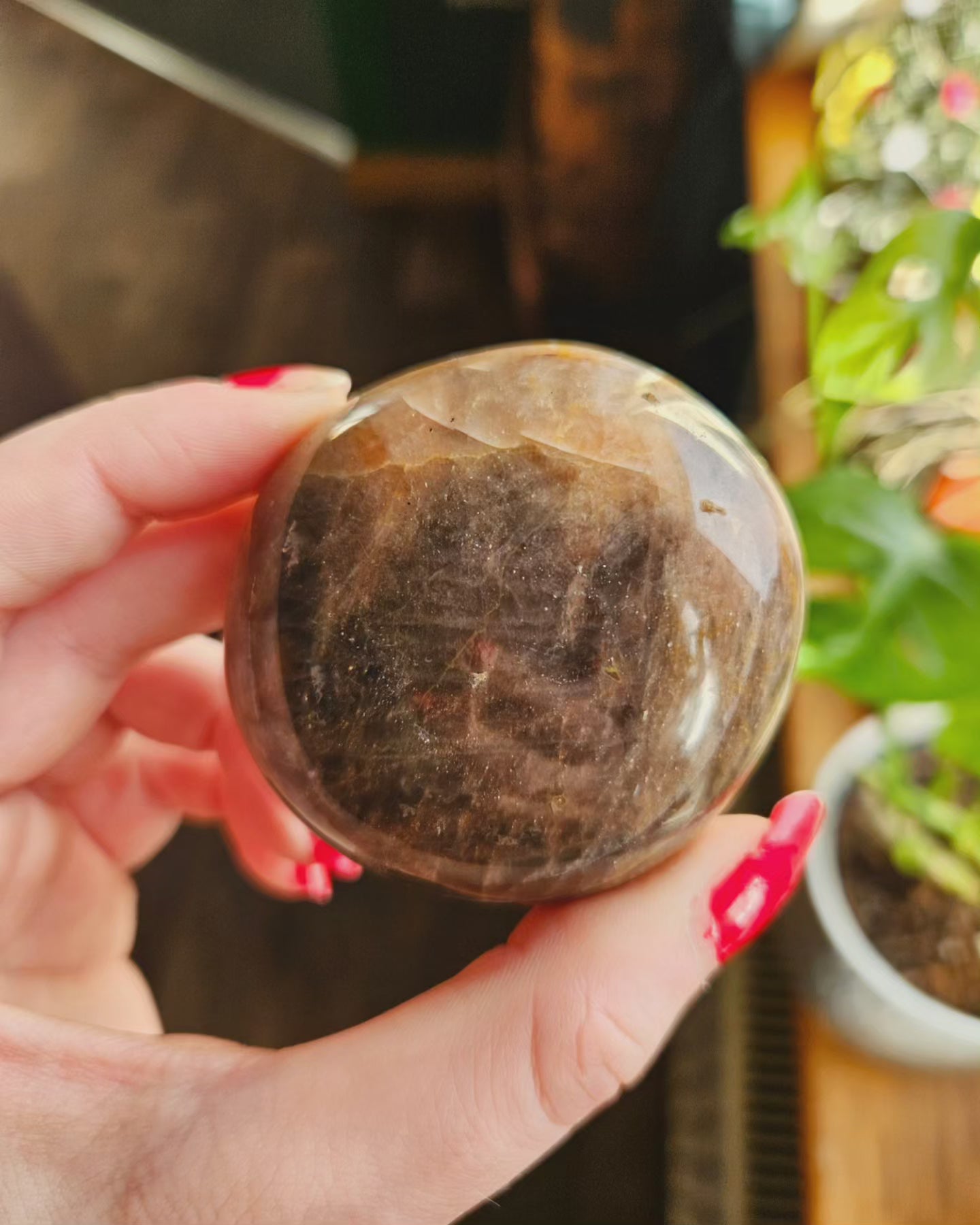 Black Moonstone palmstone