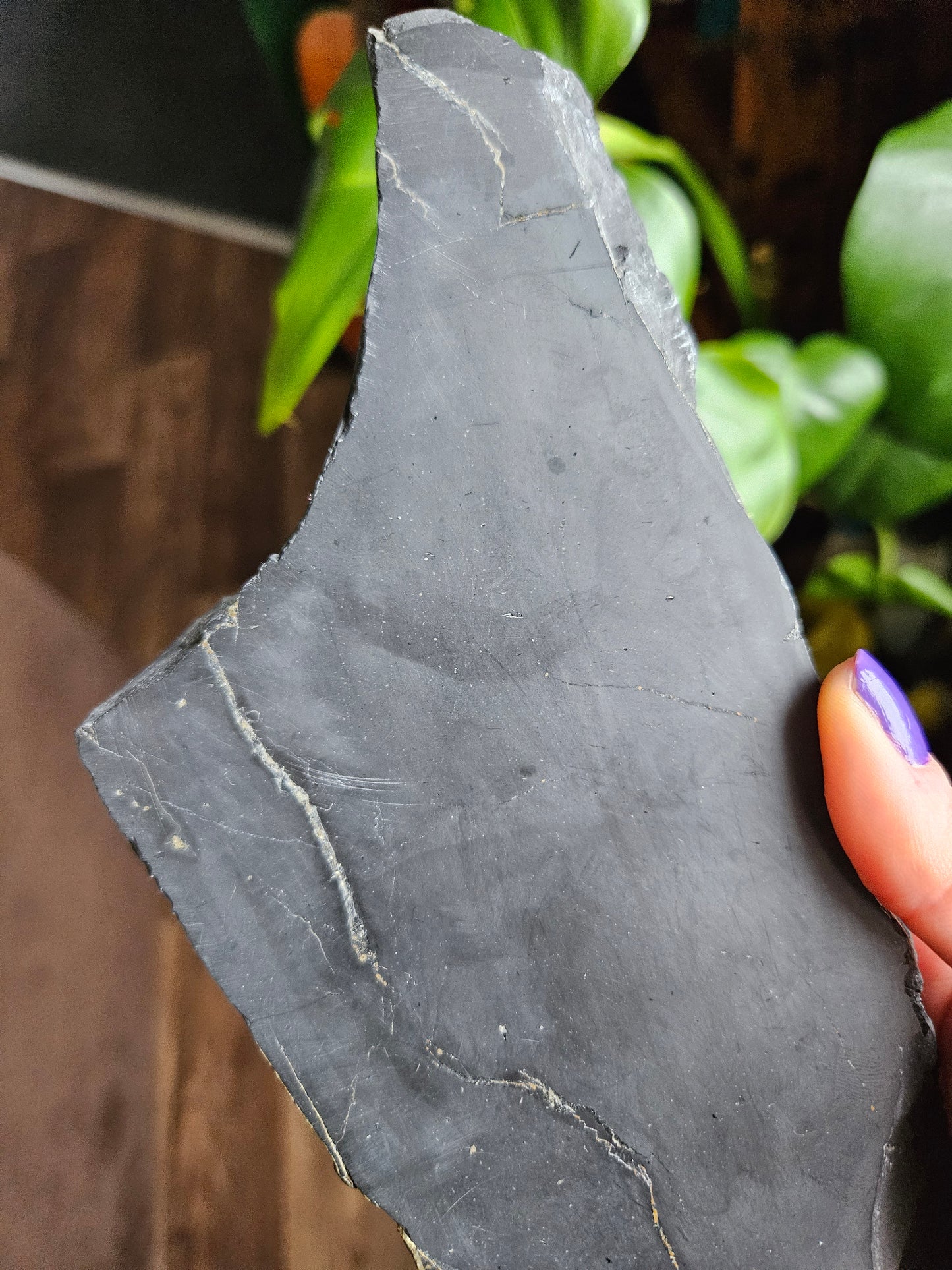 XL Shungite slice with Pyrite