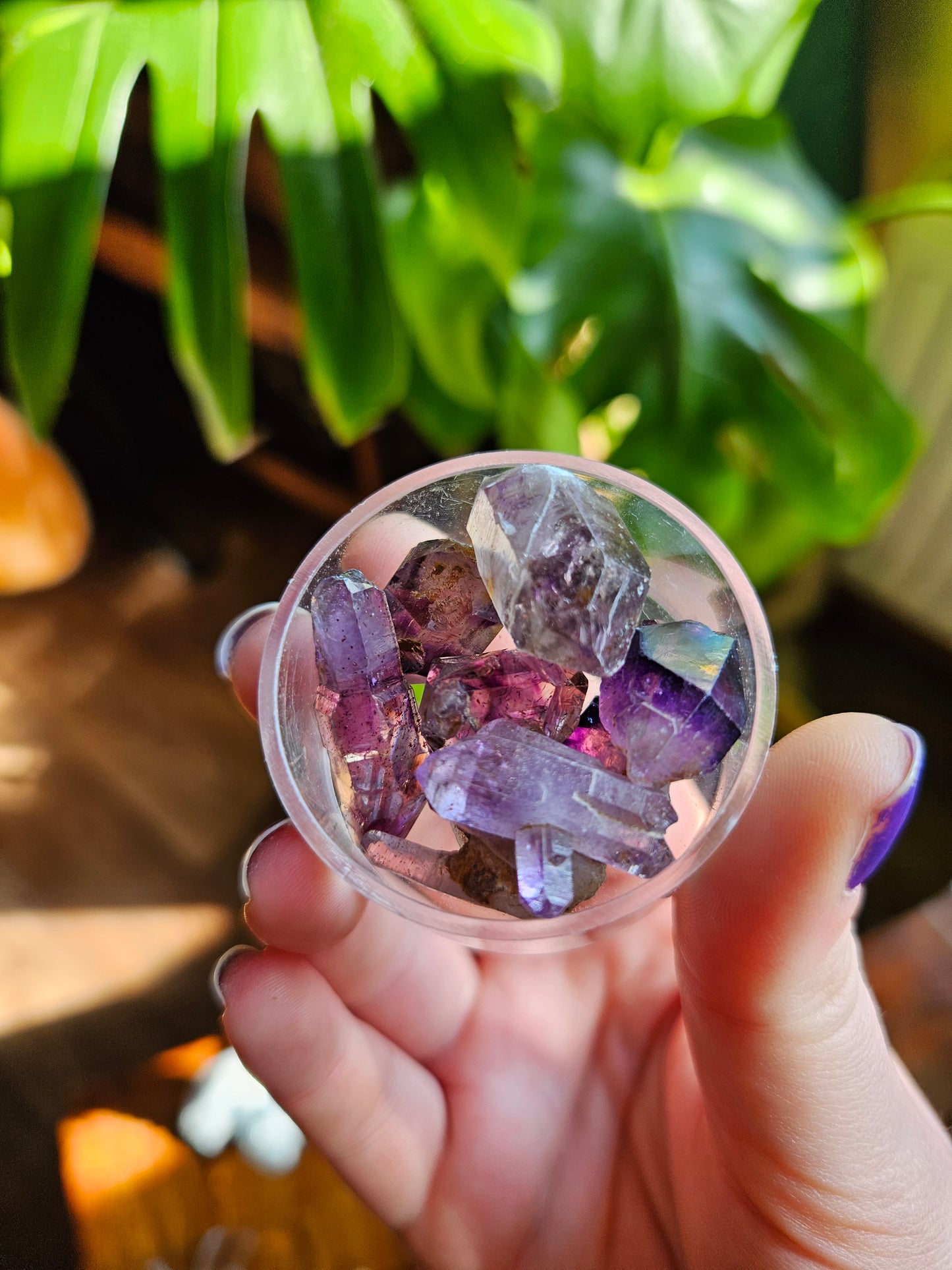 Chiredzi Shangaan Amethyst points in case