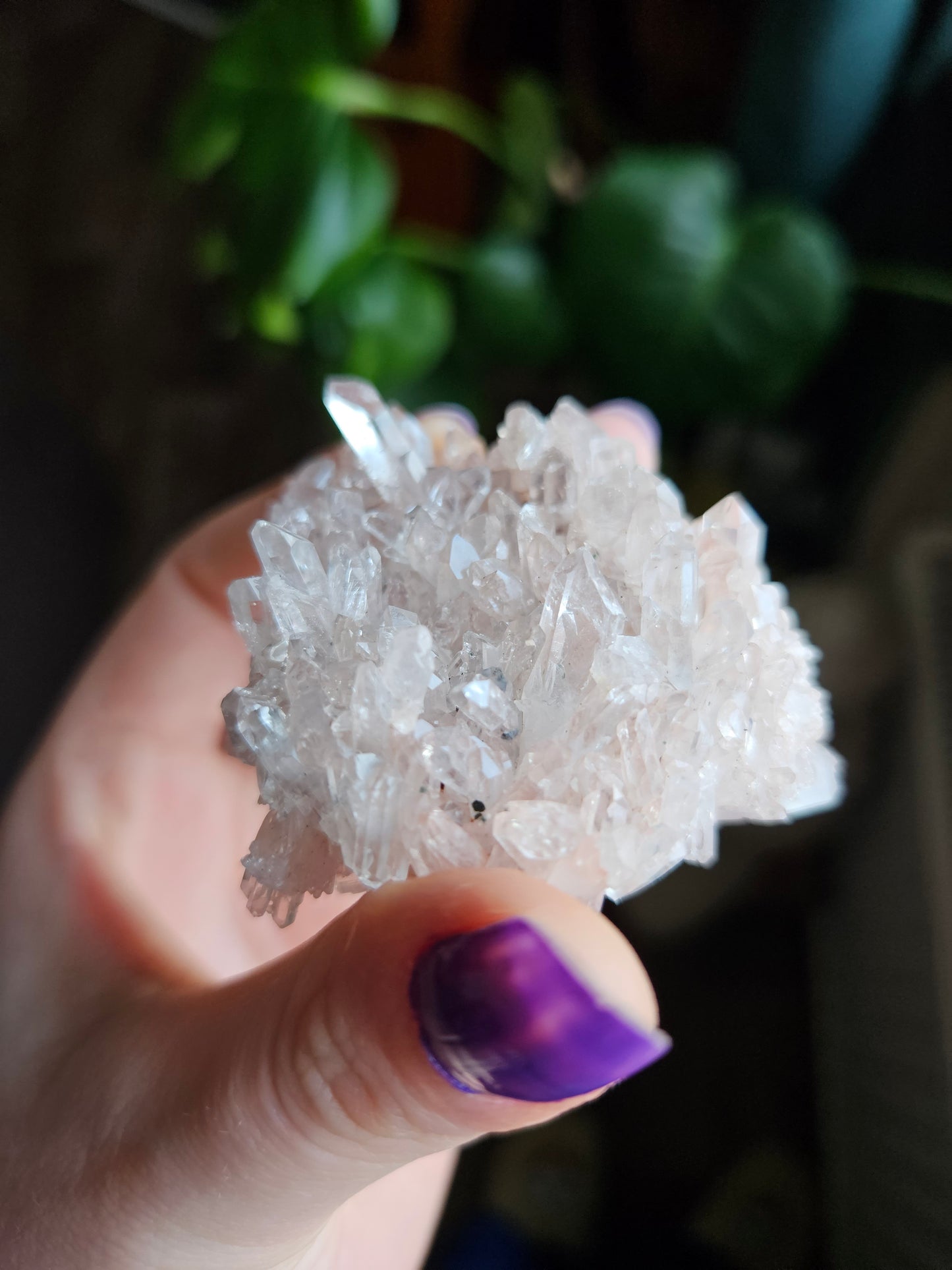 Pink Colombian Lemurian Quartz