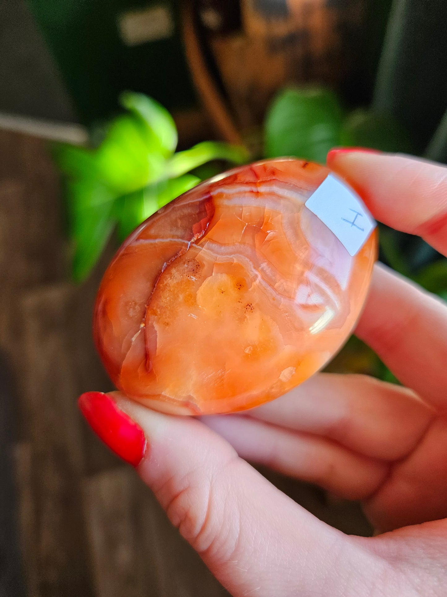 Large Mango Carnelian palmstone