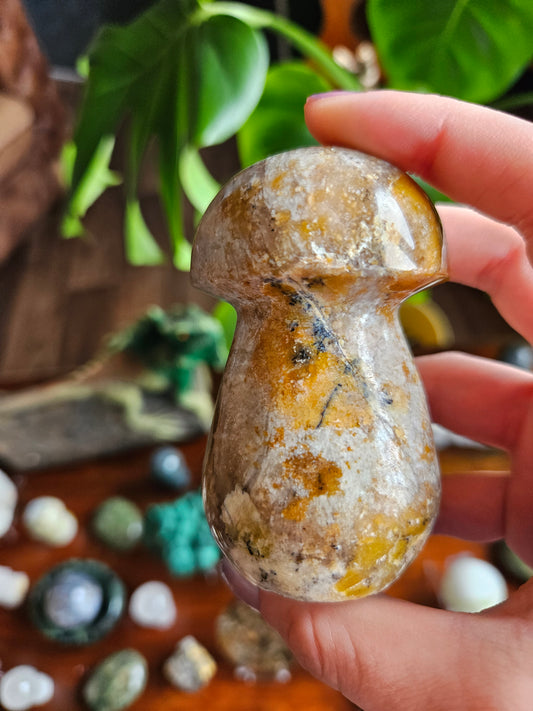 Green Opal mushroom - 264g