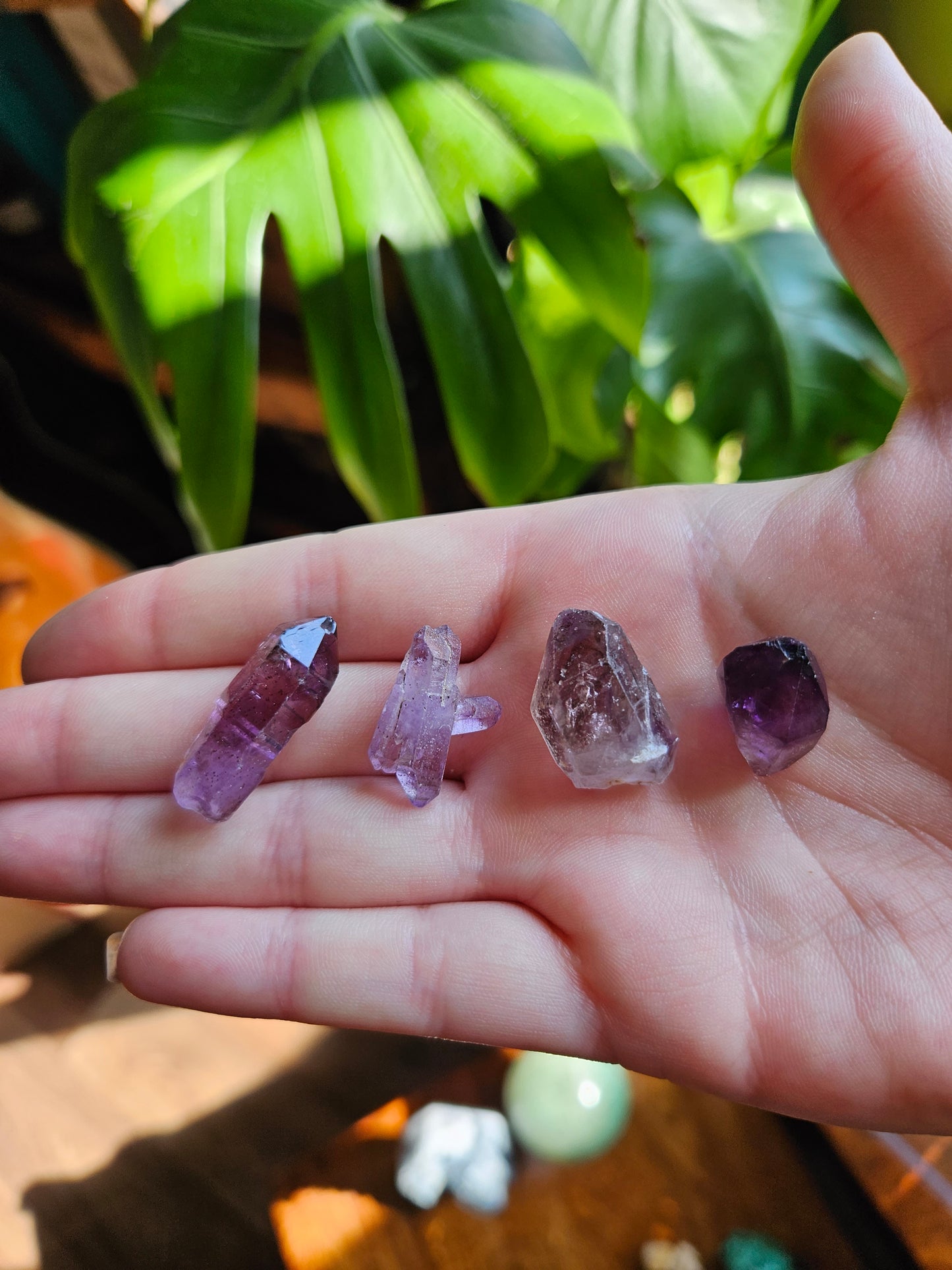 Chiredzi Shangaan Amethyst points in case
