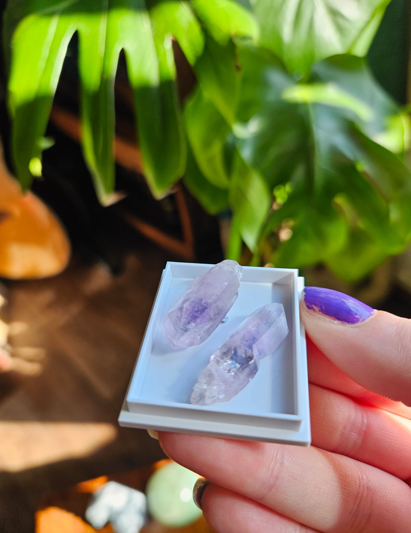 Vera Cruz Amethyst twin points