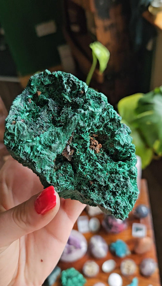XL Velvet Malachite specimen - 455g