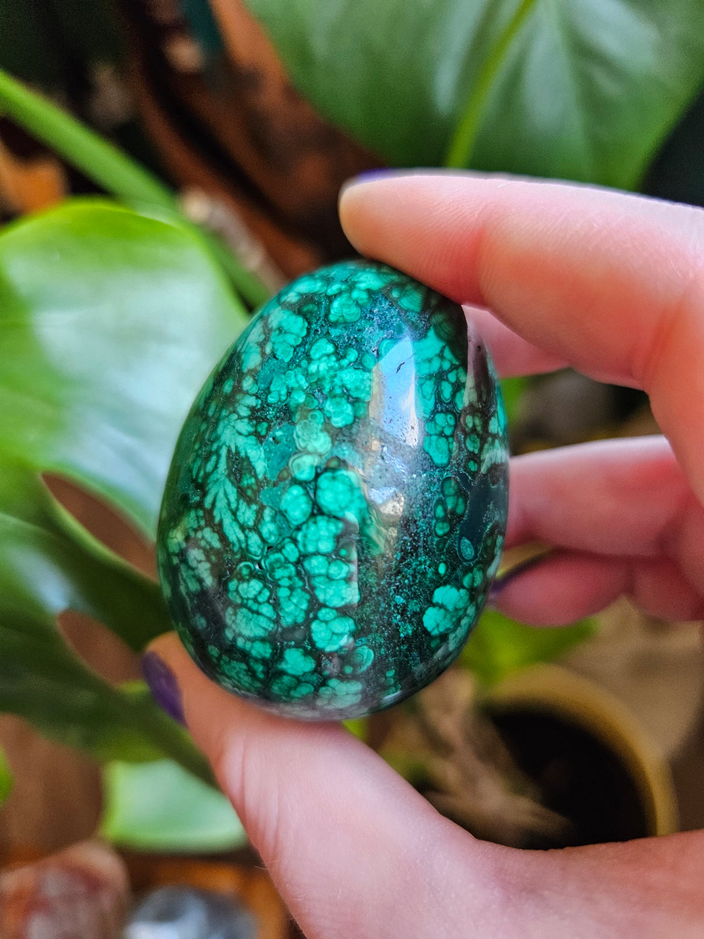 Malachite egg