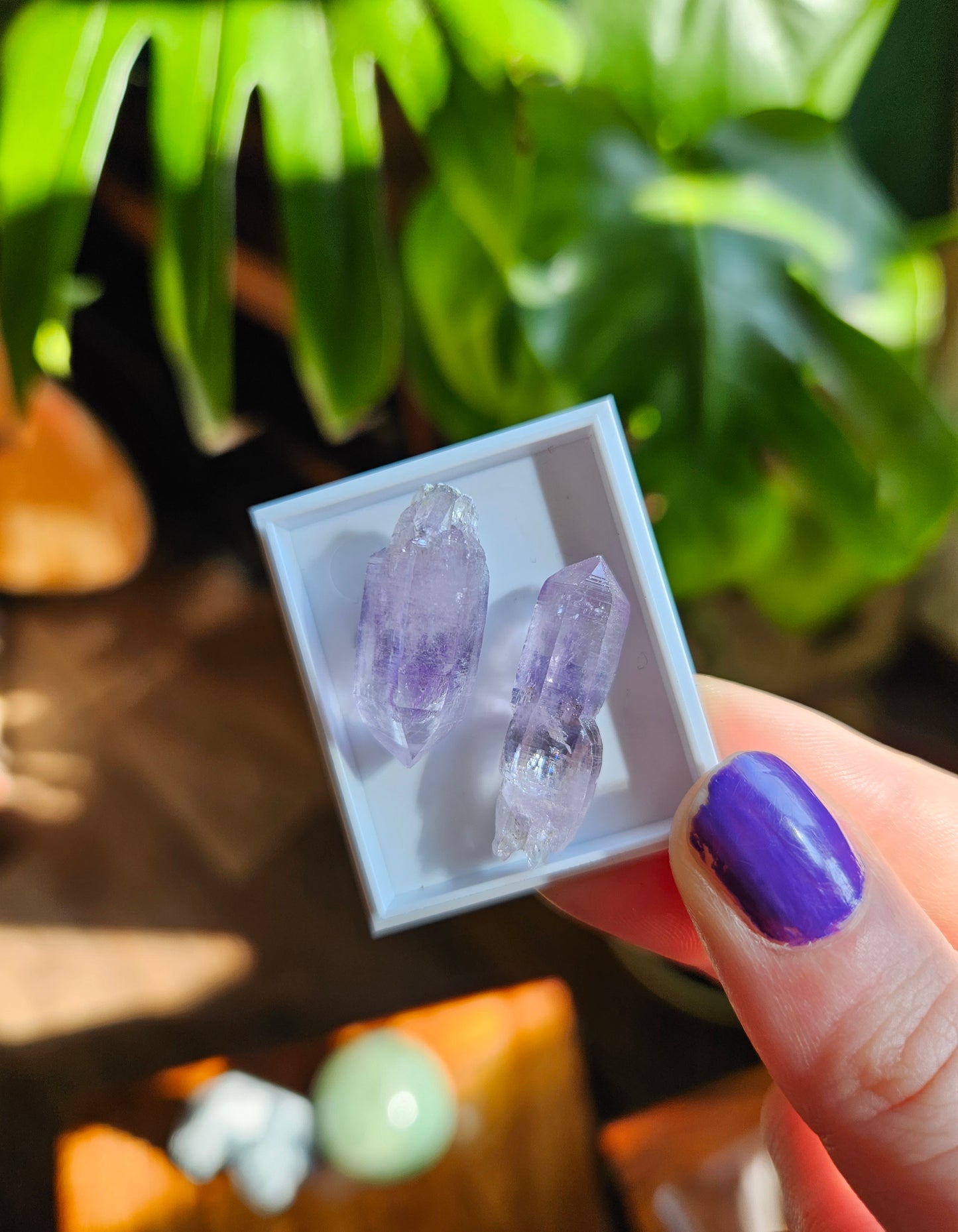 Vera Cruz Amethyst twin points