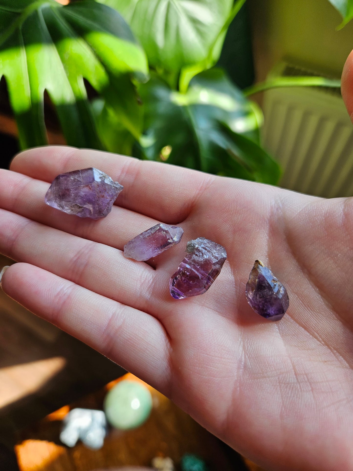 Chiredzi Shangaan Amethyst points in case