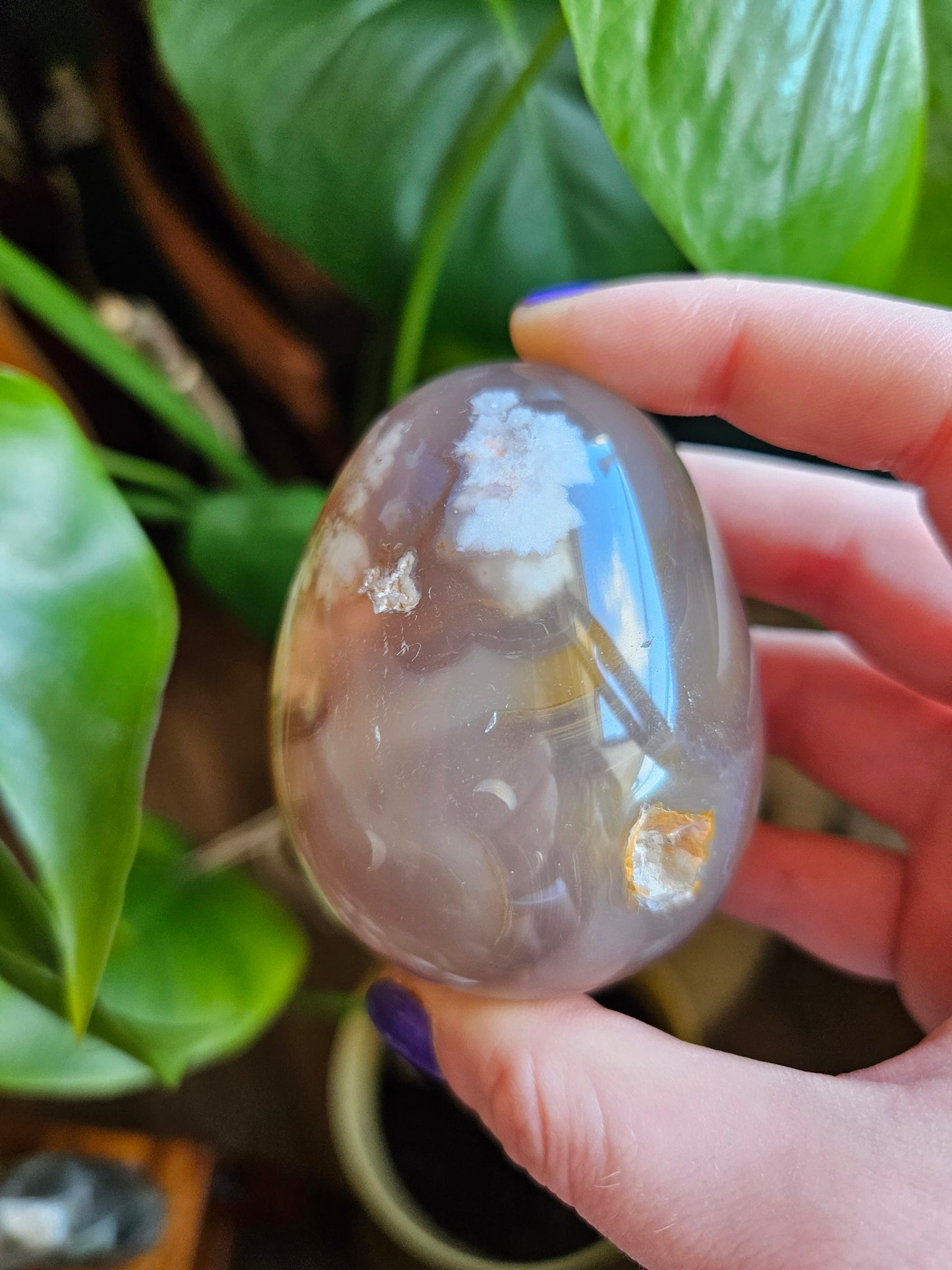 Flower Agate egg